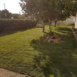 Kiki * Kalamákion
